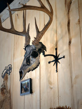 Load image into Gallery viewer, Compass swivel mount