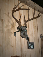 Load image into Gallery viewer, Original swivel mount