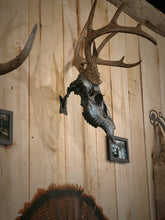 Load image into Gallery viewer, Original swivel mount