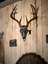 Load image into Gallery viewer, Original swivel mount