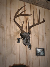 Load image into Gallery viewer, Original swivel mount