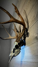 Load image into Gallery viewer, Cross Bow Skull Hanger
