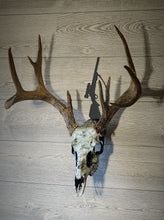 Load image into Gallery viewer, Single Rifle Skull Hanger
