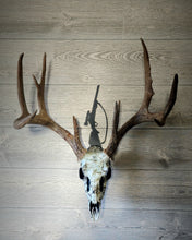 Load image into Gallery viewer, Single Rifle Skull Hanger
