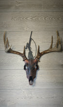 Load image into Gallery viewer, Single Rifle Skull Hanger
