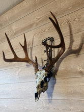 Load image into Gallery viewer, Compound Bow (C) Skull Hanger
