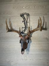 Load image into Gallery viewer, Compound Bow (C) Skull Hanger
