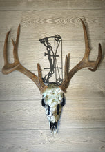 Load image into Gallery viewer, Compound Bow (C) Skull Hanger
