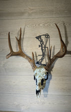 Load image into Gallery viewer, Compound Bow (C) Skull Hanger
