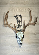 Load image into Gallery viewer, Compound Bow (C) Skull Hanger
