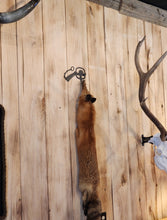 Load image into Gallery viewer, Foot trap fur hanger
