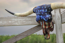 Load image into Gallery viewer, 58&quot; American Flag dipped Longhorn
